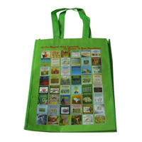 商丘LB11覆膜无纺布广告袋